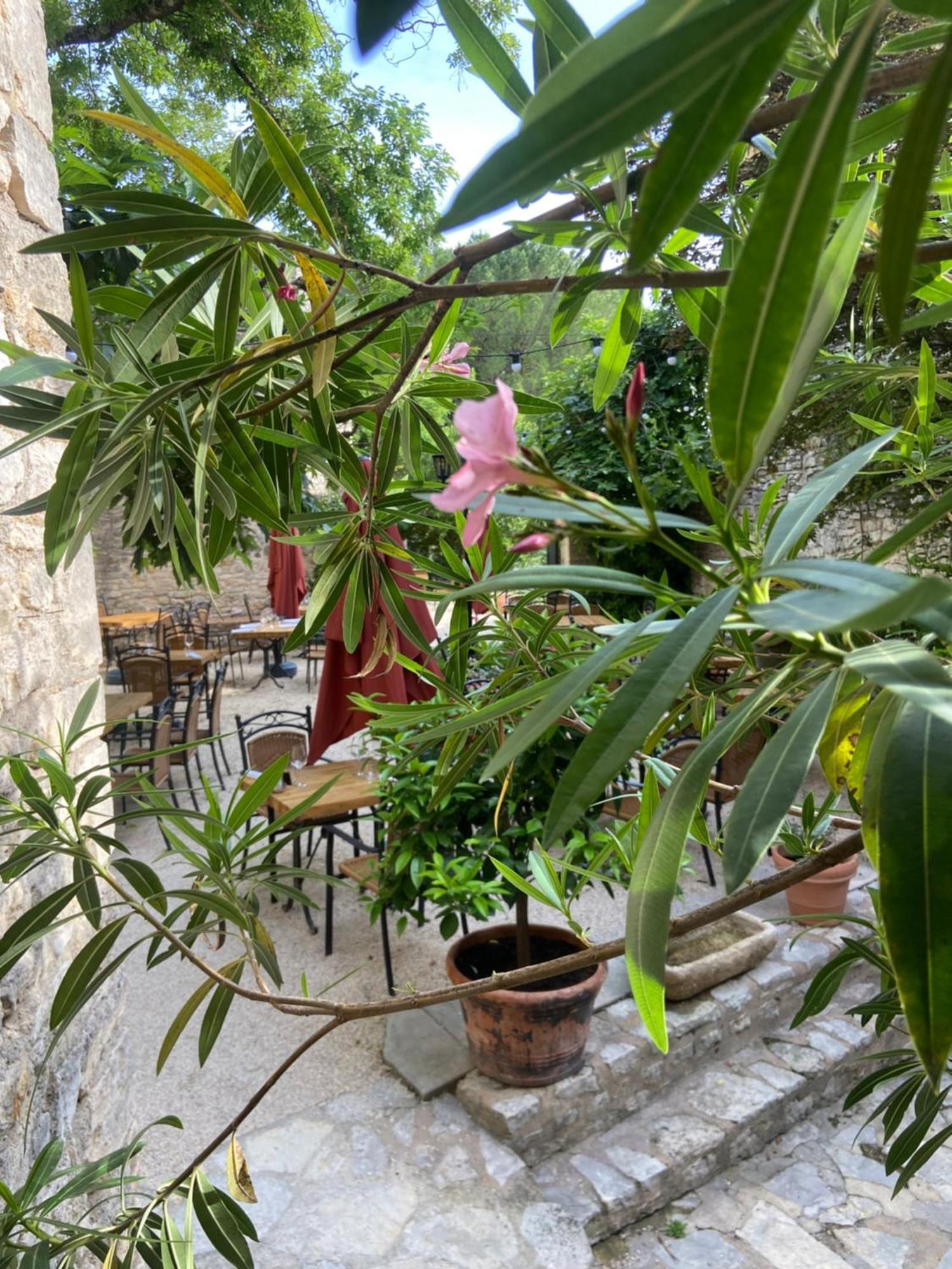 Hotel Restaurant Clos Des Sullys Montclus  Exterior foto
